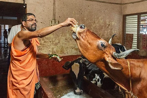 The suspicious death of an Udupi seer, and the conflict around the reigning deity