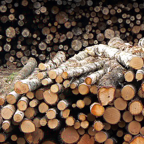 18-year-old, suspected to be a thief, thrashed to death in Bengaluru