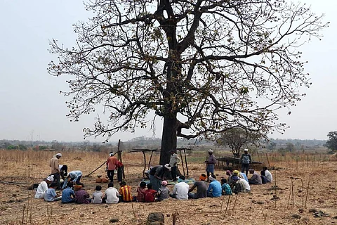 Tribals gather around a mahua tree