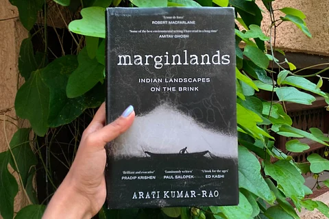 The book cover of Marginlands