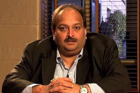 ‘BJP biggest protector of fraudsters’: Cong defends ticket given to Choksi’s lawyer