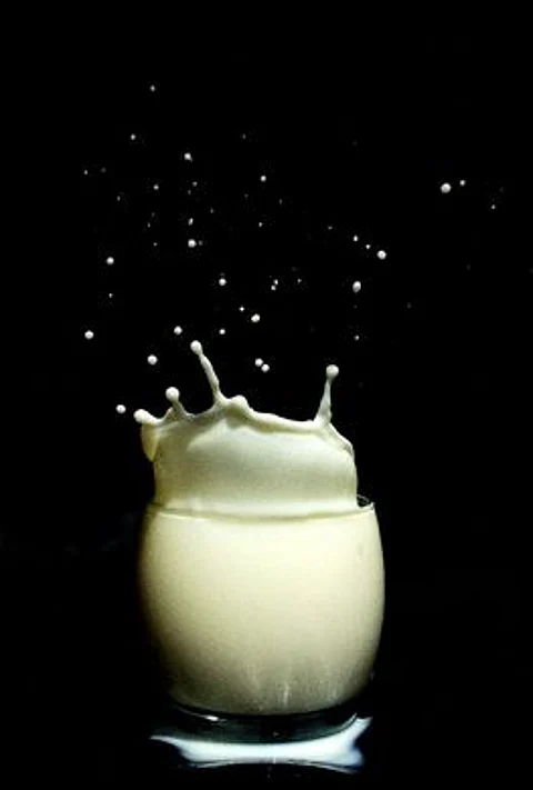 Kerala to follow the Gujarat dairy model