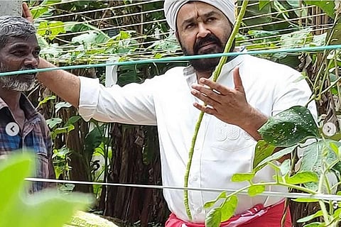 Mohanlal at his organic farm
