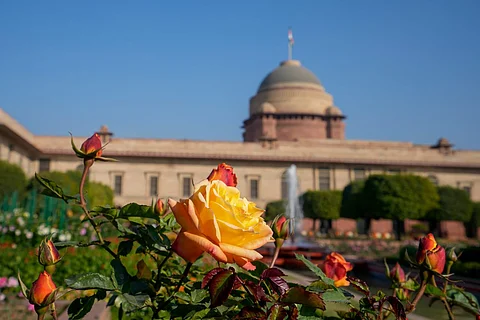 Mughal Gardens at Rashtrapati Bhavan renamed Amrit Udyan