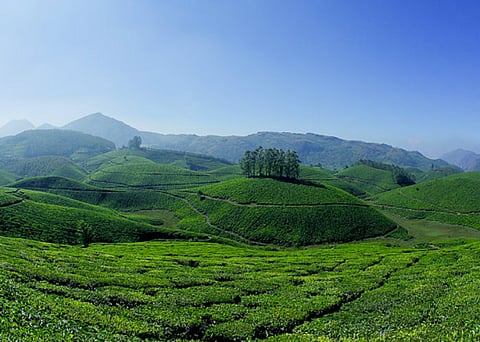 As floods recede, Kerala's tourism industry hopes to get back on its feet