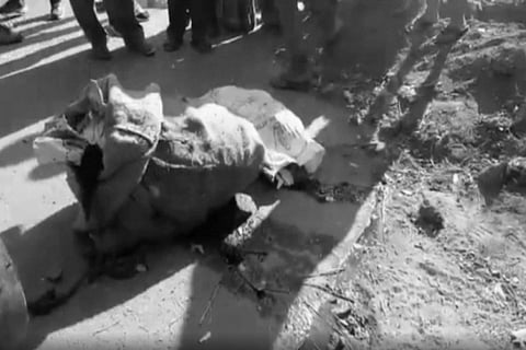 Hyderabad horror: Woman's body chopped, dumped in a sack and left near IT hub