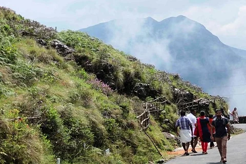 As neelakurinji season nears end, tourists throng Munnar for once-in-12-year spectacle