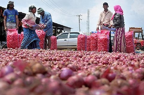 Steep fall in onion prices in Bengaluru, wholesale cost at Rs 40