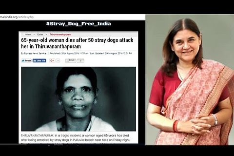 Kerala Cyber Warriors hack into Maneka Gandhi’s People for Animals website, demand stray dogs free India