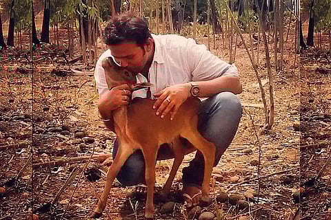 From pangolins to pythons, this AP man has rescued over 300 wild animals in a decade