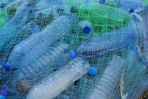 Andhra govt mulls banning single-use plastic, imposing green tax