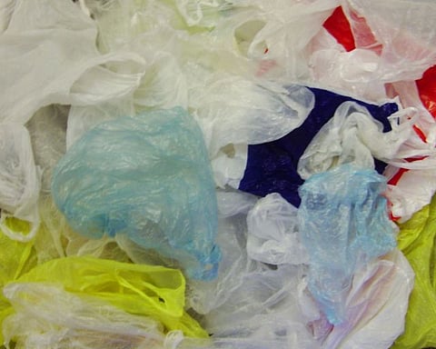 California becomes first US states to ban use of plastic bags in grocery stores
