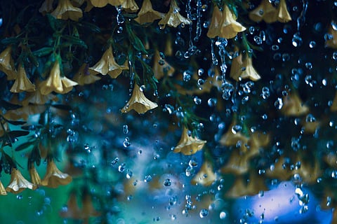 Mungaaru male for Karnataka: Thunderstorms predicted this week