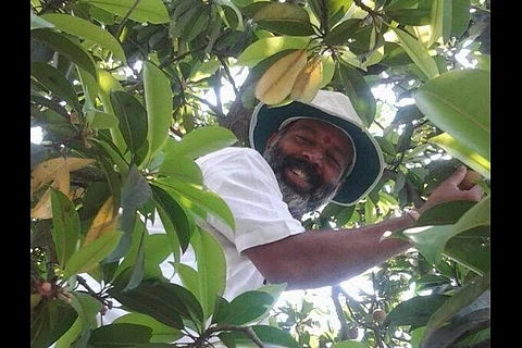 Green hero: Meet the Malayali businessman who's created 40 forests in 7 states