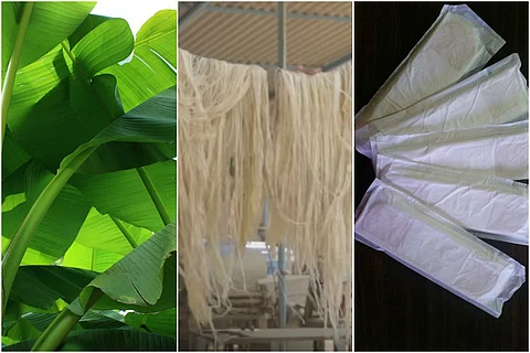 Watch: This company makes biodegradable sanitary pads from banana fibre