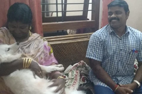 Pomeranian abandoned for ‘illicit relationship’ gets new home in Kerala