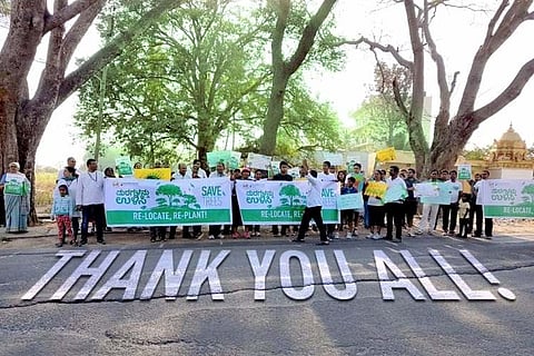 Sarjapur residents are crowdfunding to translocate trees that will be cut down to widen roads