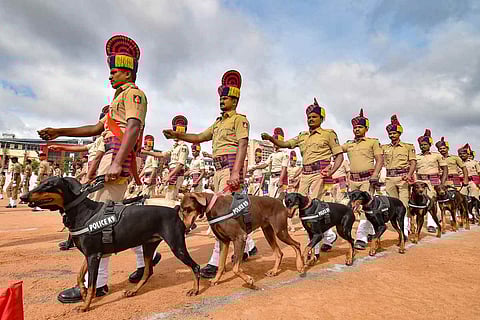 Security personnel with sniffer dogs