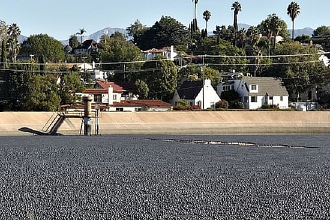 After thermocol, TN may move to plastic balls to save water, but at what cost?