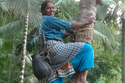 Meet Sheeja, Kerala woman who became a toddy tapper to support her family