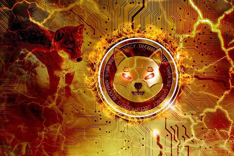 Major e-retailers to accept MATIC payments, Japan to invest in metaverse, NFT