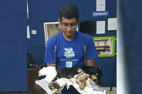 Does your pet need blood? This Hyderabad man's website could save its life