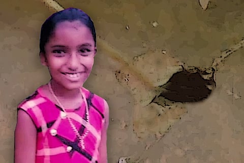 Kerala snakebite death: District judge's report names school, hospital authorities