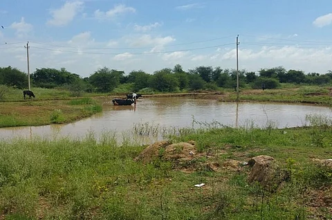 Bengaluru citizen groups come together to fight for lake governance
