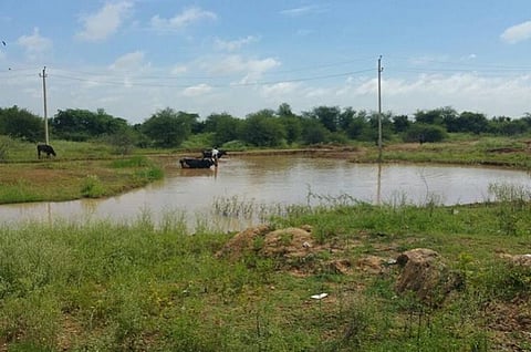 Lake buffer zones in Bengaluru: Activists accuse govt of siding with errant builders