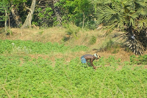 TN Polls: At Kalaignar's bastion in Thiruvarur, the mood is turning against him, but can he ever lose?