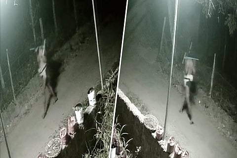 Fact check: No, there isn’t a giant ‘black man’ on the prowl in Kerala