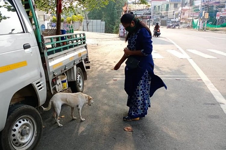 Feeding after sunset: How Kerala is taking care of strays during lockdown