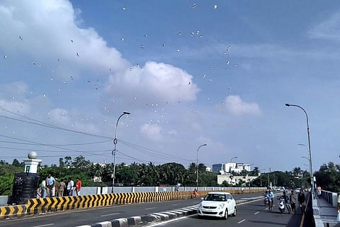 TN update: Water level recedes, outbreak of diseases and hygiene biggest concern