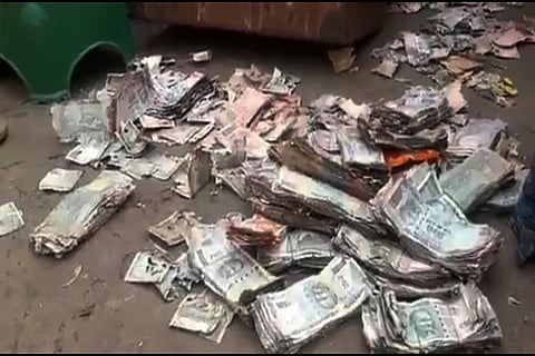 A portion of the currency notes of the Rs 5 lakh damaged by termites in Vijayawada