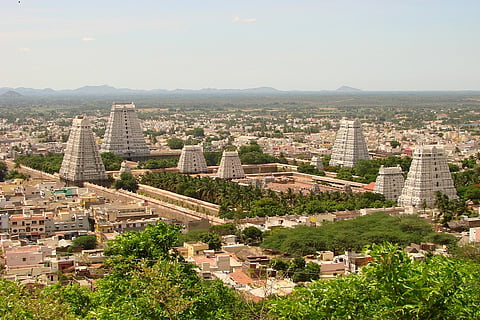 Denying nature to the divine: Tiruvannamalai protests against cutting trees to broaden Girivalam