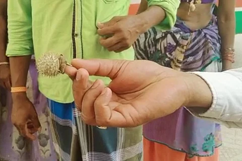 11 in AP hospitalised after following TikTok poisonous ‘remedy’ for COVID-19