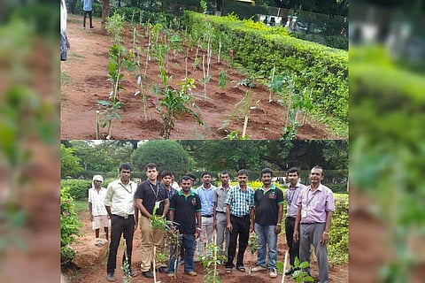 A startup for mini-forests: 2 TN men are transforming educational and corporate campuses
