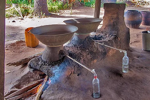 Kerala's arrack love: How an alcoholic drink banned for 23 yrs is still being produced