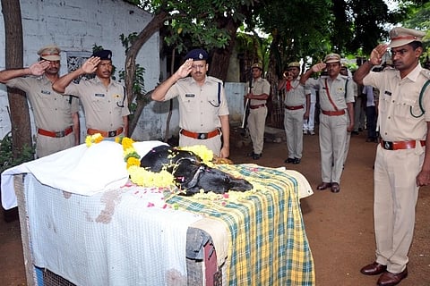 Varsha the star canine, which cracked 136 cases for Andhra police, dies