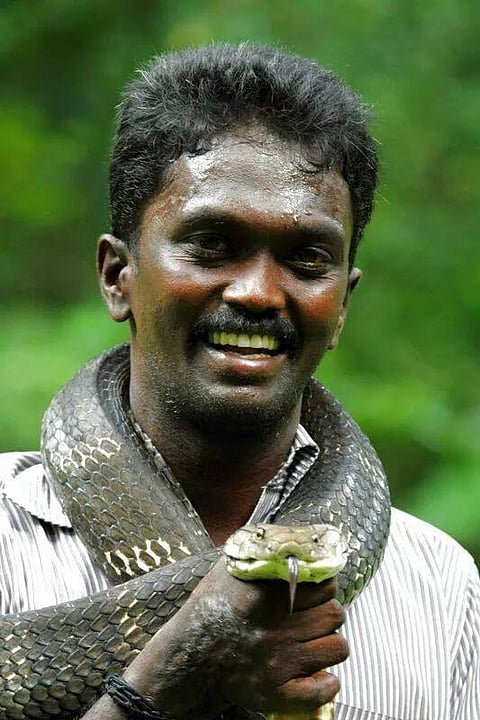 A snake catcher so popular that he has a mobile app for people to reach him
