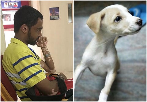 Engg student who allegedly killed puppy in Vellore arrested, granted bail