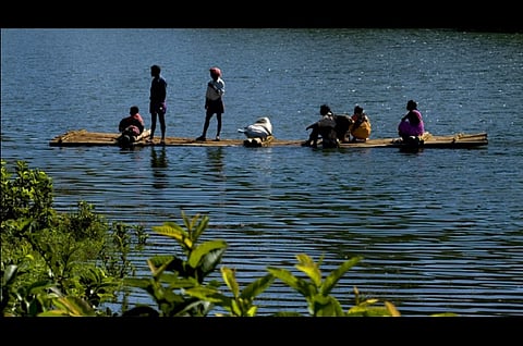 Kerala’s Wayanad to be made floriculture hub, hi-tech flower villages proposed