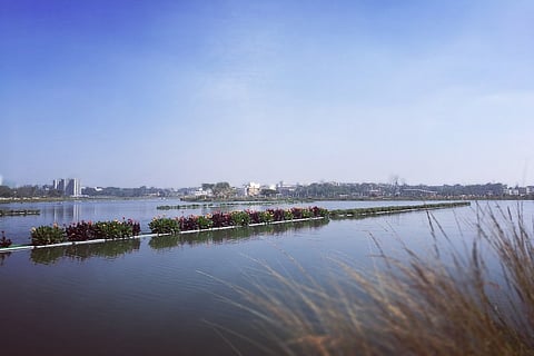 Bengaluru lake enters record books for ‘largest floating island’ post rejuvenation