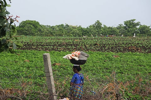Agrarian crisis