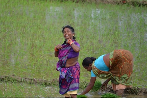 Women farmers working in paddy field