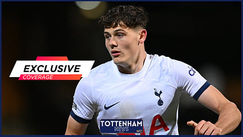 Ange Postecoglou could hand Will Lankshear an opportunity at Tottenham