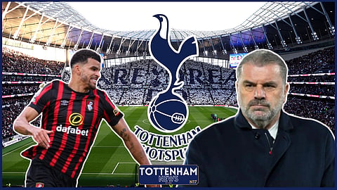 Dominic Solanke may not be solution to Ange Postecoglou's answers after Tottenham draw v Leicester City