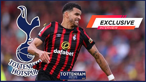 Tottenham have been told to sign Dominic Solanke