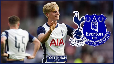 Tottenham play Everton on Saturday