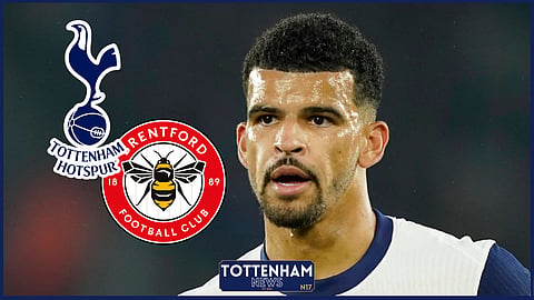 Tottenham striker Dominic Solanke (Credit: Imago)